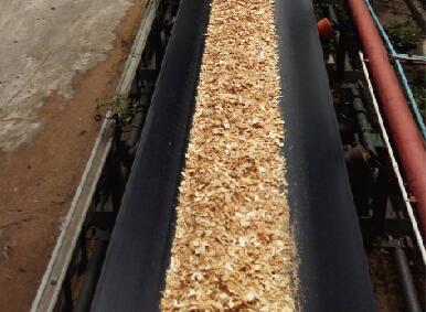 Oil Resistant Conveyor Belt1.jpg